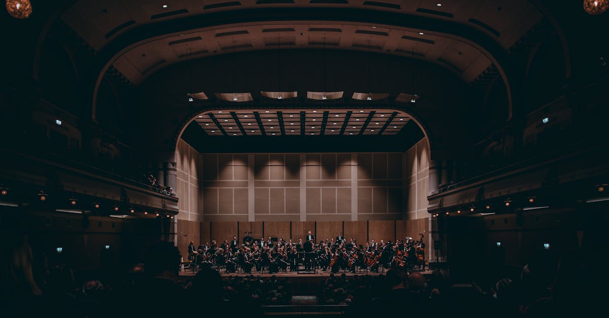 KULTUR: Matinee „Musik verbindet“ – Sinf. Blasorchester TV Niederbrechen